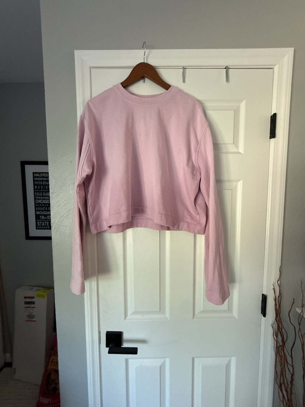 Acne Studios Odice Emboss Pink Cropped Sweatshirt